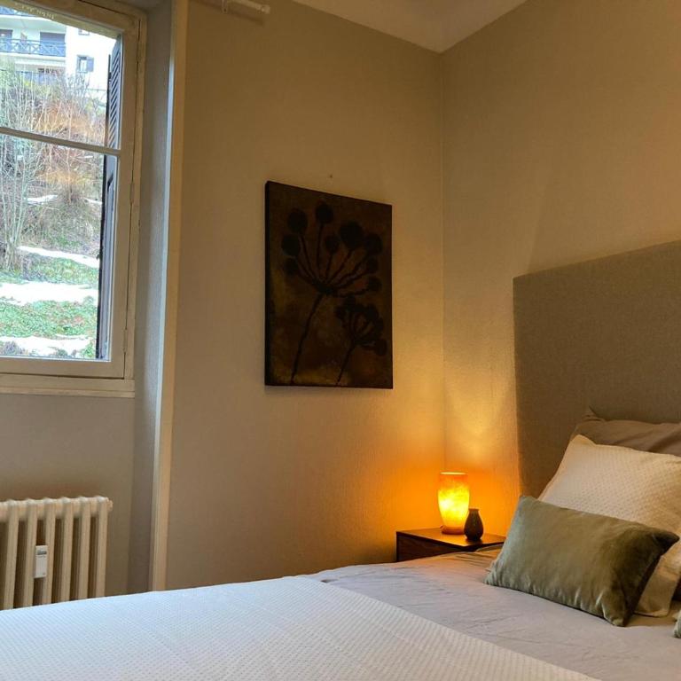 Elegant historic apartment Le Mont Joly - 3 bed 2bath view 80m2 - Appartement 3 Chambres - 16
