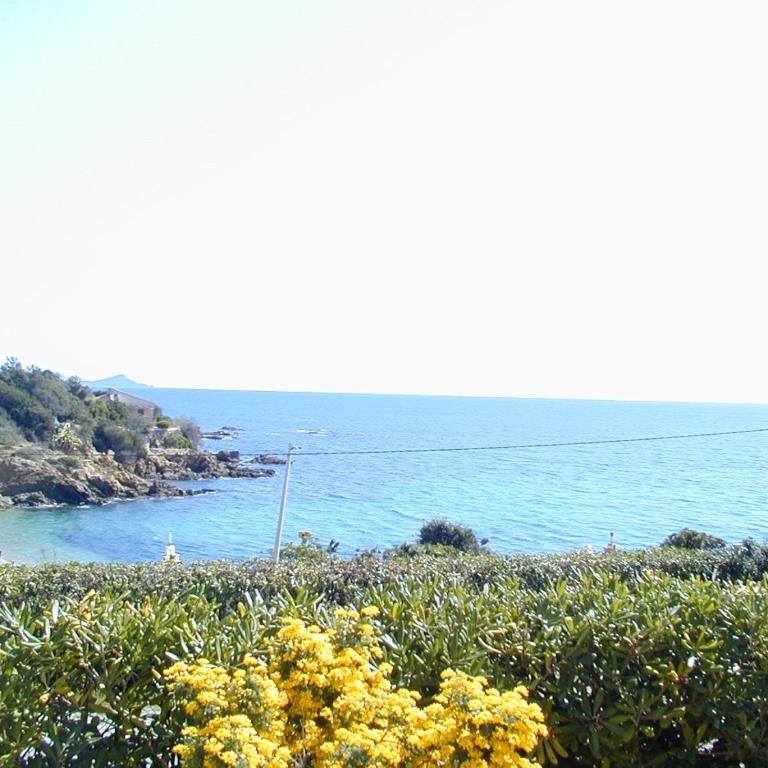"Cap Riviera" Hotel & Restaurant Saint Aygulf - Chambre Double avec Terrasse et Vue sur Mer - 21
