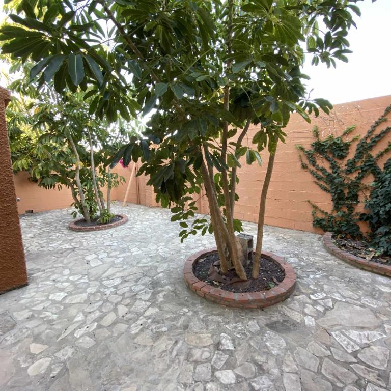Casa 3 Chalet Ragel Costa - Three-Bedroom Chalet - 7