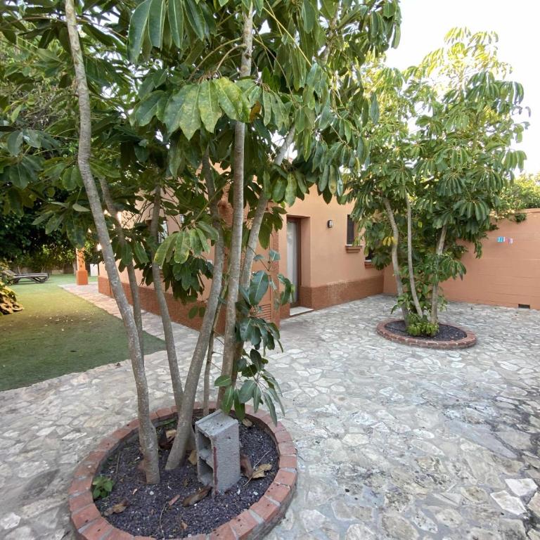 Casa 3 Chalet Ragel Costa - Three-Bedroom Chalet - 8