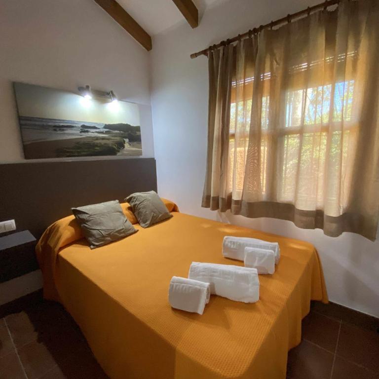 Casa Gemela 5 Ragel Costa - Casa de 2 dormitorios - 26