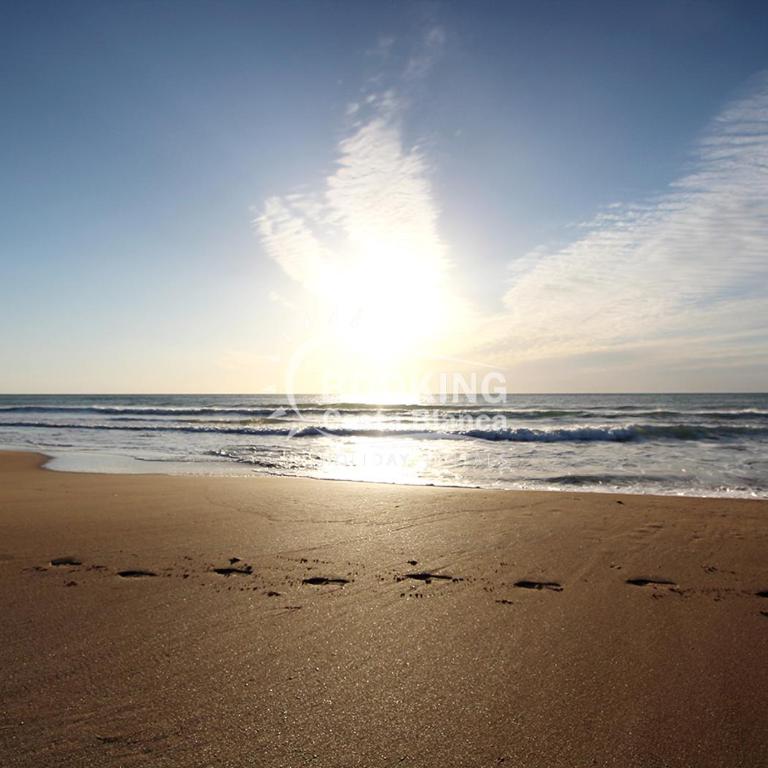 AL045 Pinada Beach III La Mata - Apartamento de 2 dormitorios - 41