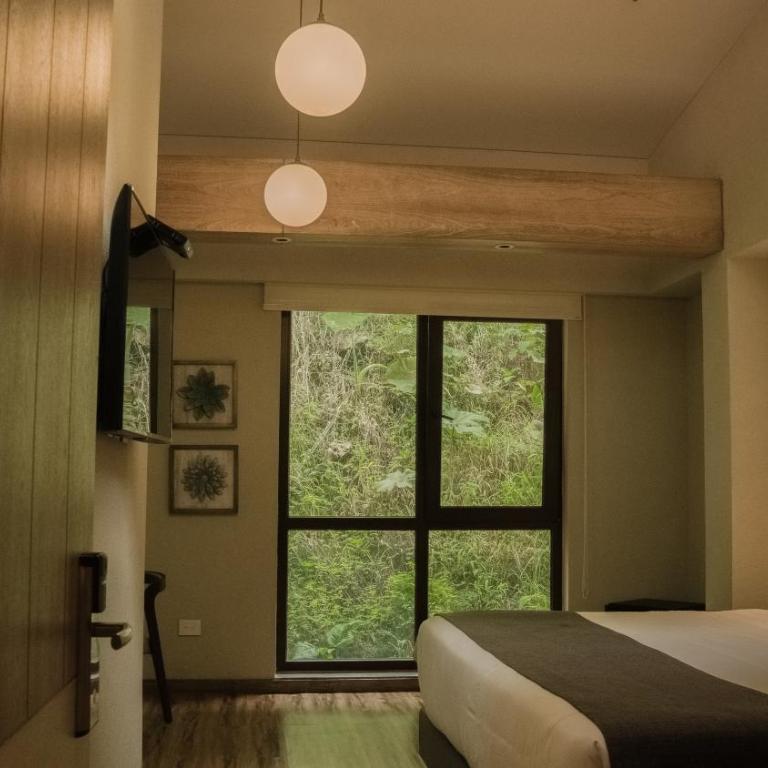 Termales Santa Rosa De Cabal - Habitación Deluxe con cama extragrande - 3