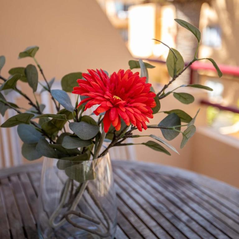Las Dunas, Holiday Home Resort - VV - Apartment with Terrace - 4