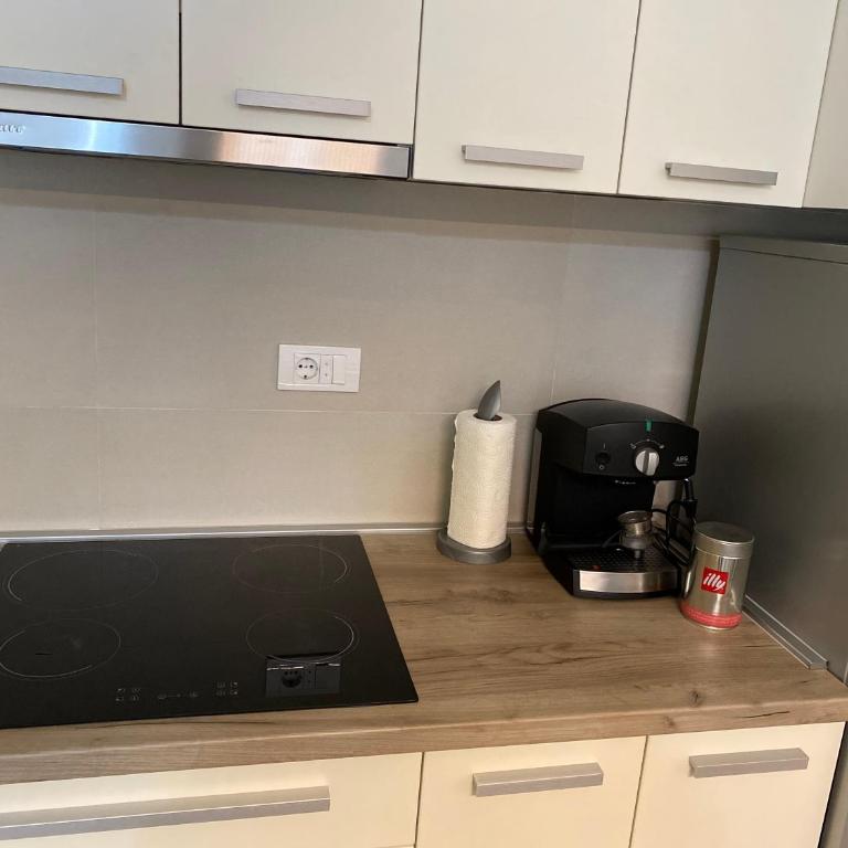 King's park plus apartment - Apartman sa 1 Spavaćom Sobom - 12