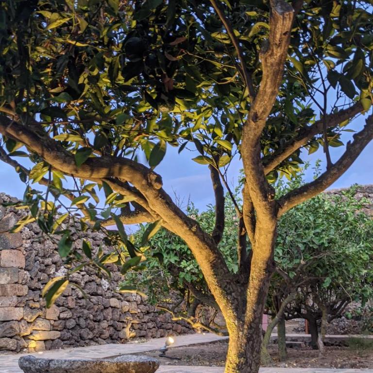 Horizon Pantelleria - Camera Matrimoniale Standard - 4