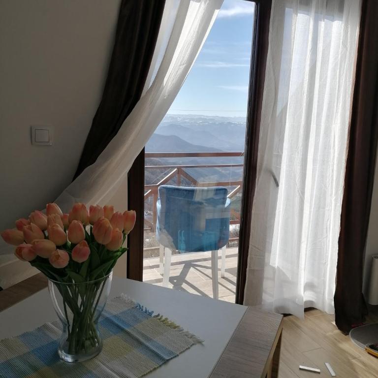 Magic View E16 Kopaonik - Apartment with Mountain View - 3