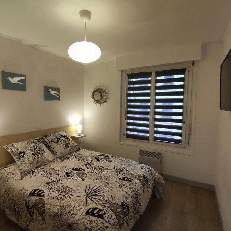 Joli petit T2 entre port et vieille ville - Appartement 1 Chambre - 3