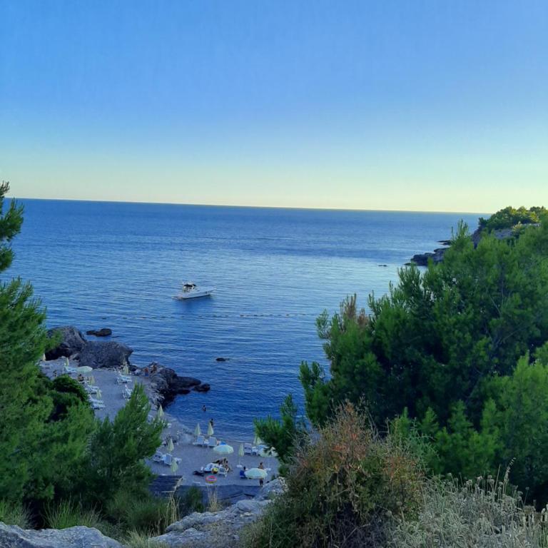 "Lazaret" SUTOMORE - Apartman sa 1 Spavaćom Sobom - 12