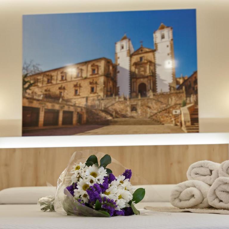 Cáceres Deluxe - Apartamento Superior - 8