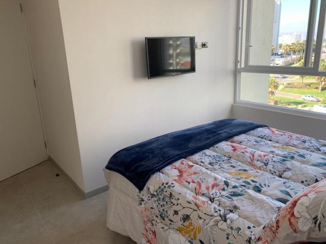 Departamento la Serena / Coquimbo Marina Costa - Three-Bedroom Apartment - 25