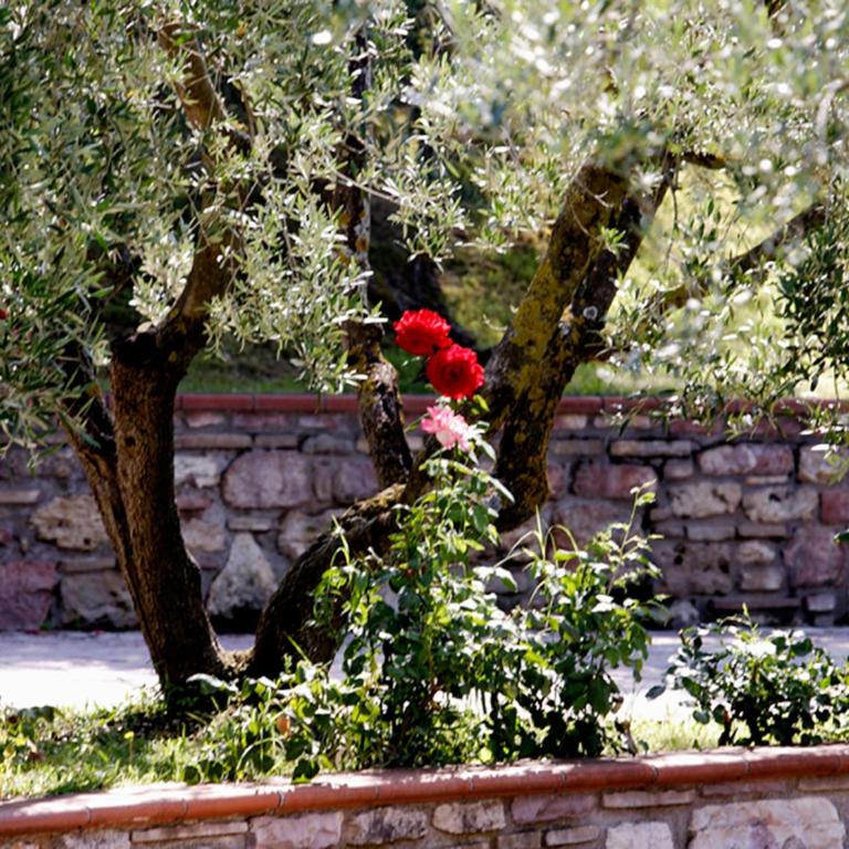 Hotel La Terrazza RESTAURANT & SPA - Camera Singola - 5
