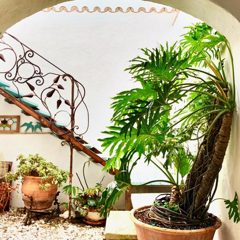 CASA DEL TEATRO Luxury Casas Vejer Debra - Chalet de 3 dormitorios - 12