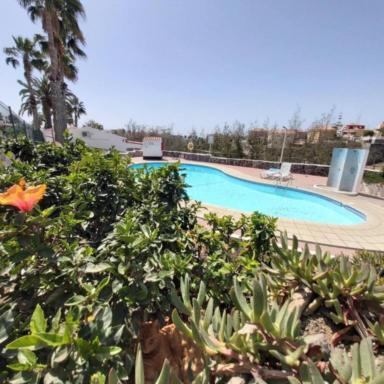 Central Apartment With Sea Views - Casa - 32