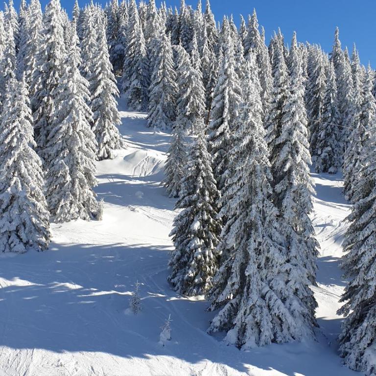 Magic View E16 Kopaonik - Apartment with Mountain View - 27