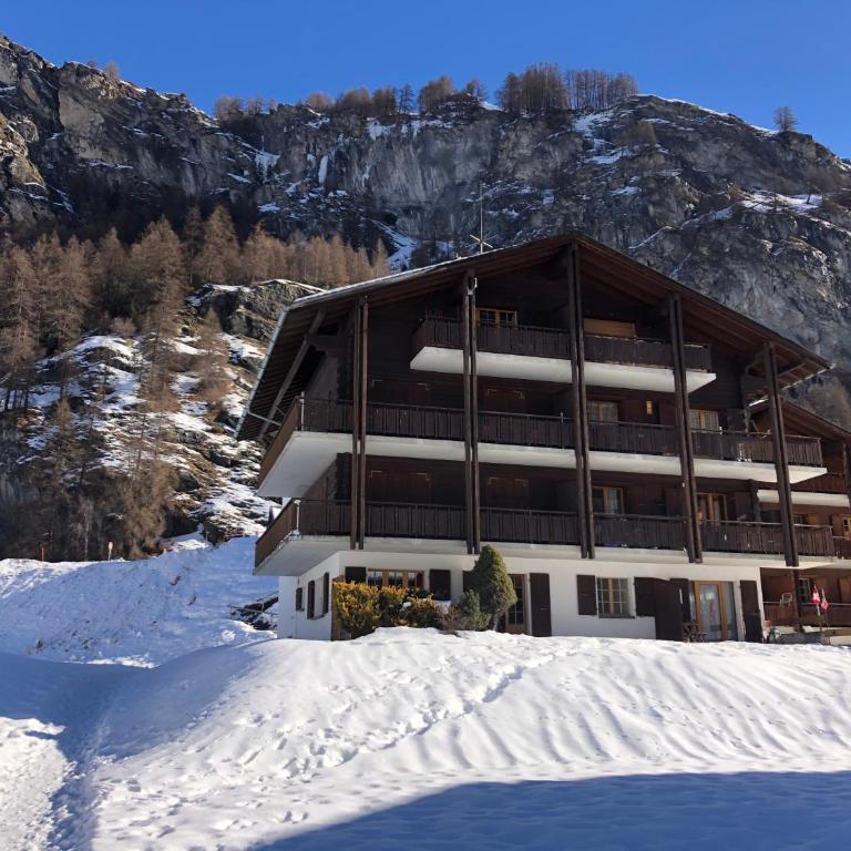 L'Hérensarde, bel appartement avec jardin-terrasse et garage - Apartment mit Terrasse - 17