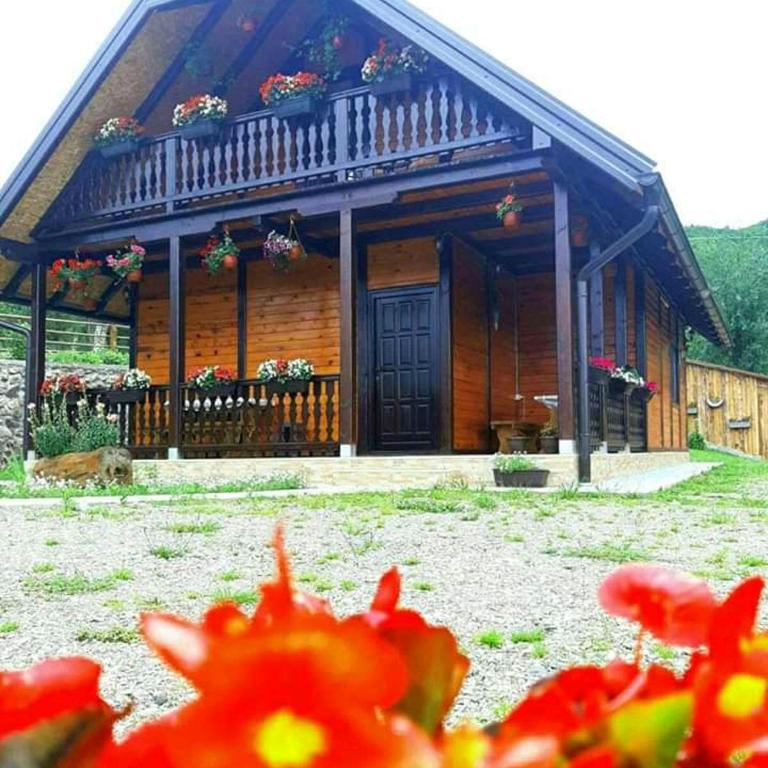 Brvnara Sofiana - Kuća sa 2 Spavaće Sobe - 48
