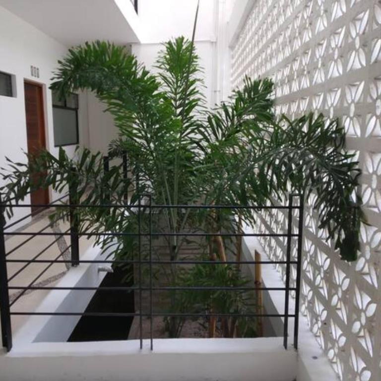 Casa Xonot - Two-Bedroom Apartment - 19