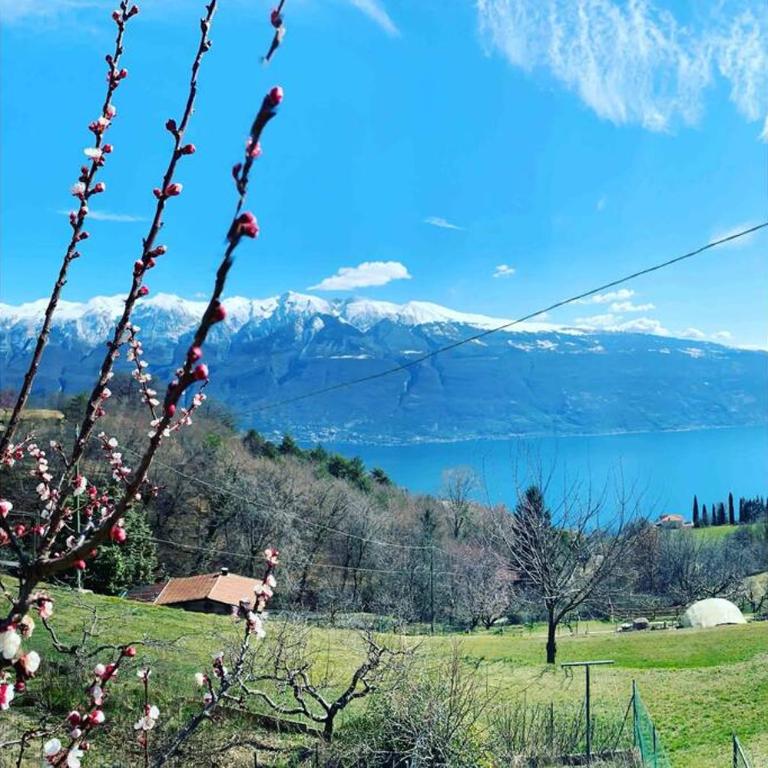 VillaTullia Ferienhaus mit Seesicht Gardasee - Casa con 2 Camere da Letto - 1