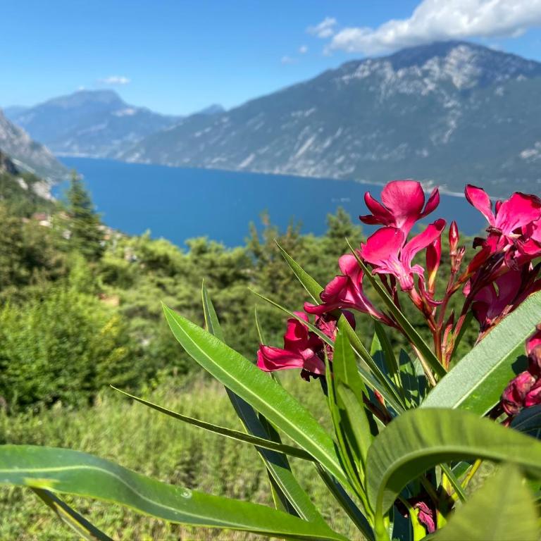 Un Balcone sul Garda - Appartamento su 2 Livelli - 3