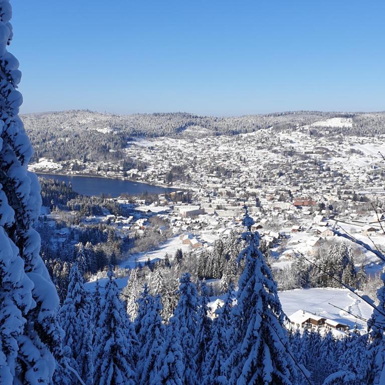 Apartement sur les hauteurs de Gerardmer avec une SUPERBE VUE - Appartement 2 Chambres - 10