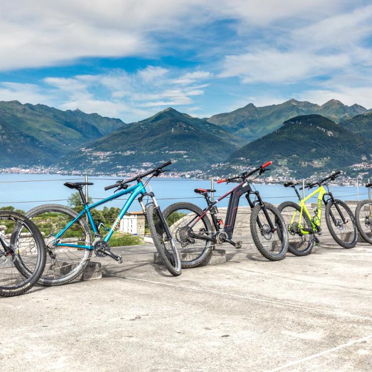 Villa Lago Foreground Lakefront Beach Bike&Boat& Scooter Lake Como - Appartamento con 3 Camere da Letto - 22