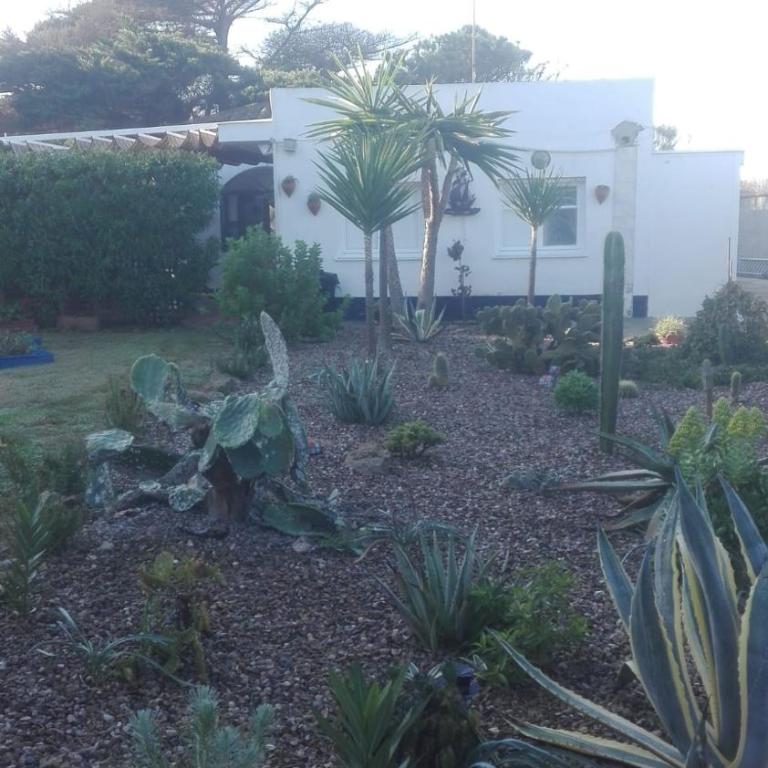 En Finca Las Dunas dos Chalets con jacuzzis en primera linea de playa , uno de 4 dormitorios y otro de 2 dormitorios, Llama al Seiscientos veintisiete Cuatrocientos diecisiete Trescientos noventa y ocho - Chalet - 21