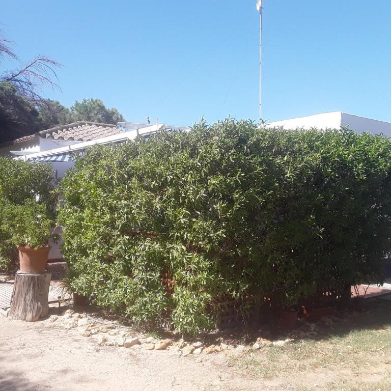En Finca Las Dunas dos Chalets con jacuzzis en primera linea de playa , uno de 4 dormitorios y otro de 2 dormitorios, Llama al Seiscientos veintisiete Cuatrocientos diecisiete Trescientos noventa y ocho - Chalet - 18