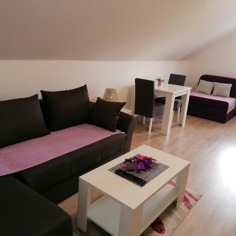 Studio apartman Vasić - Vila sa 1 Spavaćom Sobom - 3