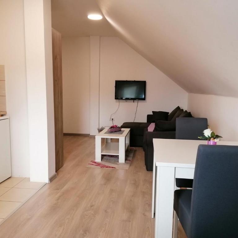 Studio apartman Vasić - Vila sa 1 Spavaćom Sobom - 4