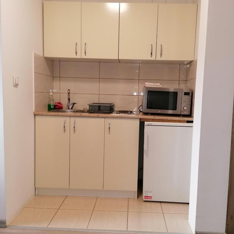 Studio apartman Vasić - Vila sa 1 Spavaćom Sobom - 6