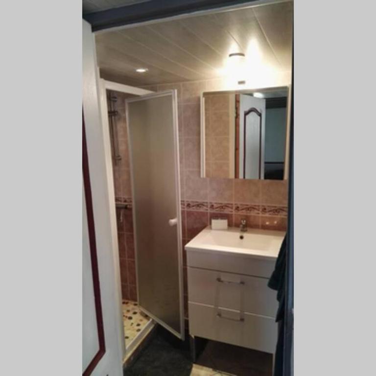 Studio mezzanine en résidence avec piscine au village - Apartment mit 1 Schlafzimmer - 10
