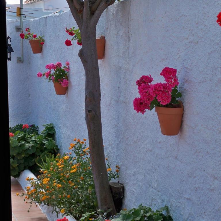El Capistrano Sur - Apartamento de 1 dormitorio - 11