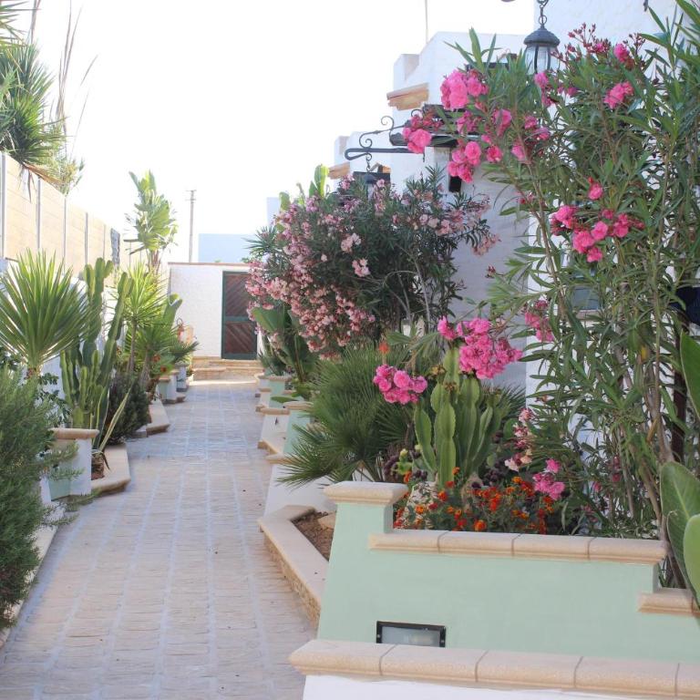 Agriturismo Resort Costa House - Suite - 6