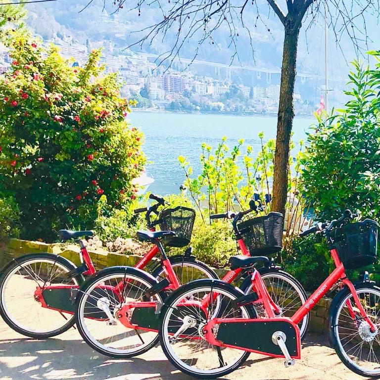 Fabulous Lakeside Family Apartment | 4 Rooms - Apartment mit Seeblick - 21