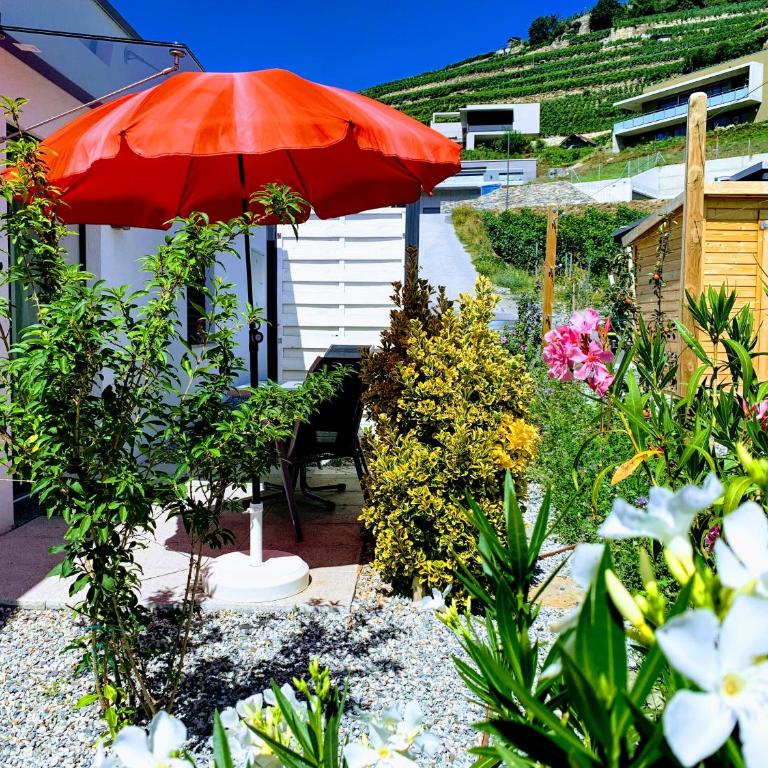 Guesthouse Petit Pré - Studio mit Terrasse und Bergblick - 2