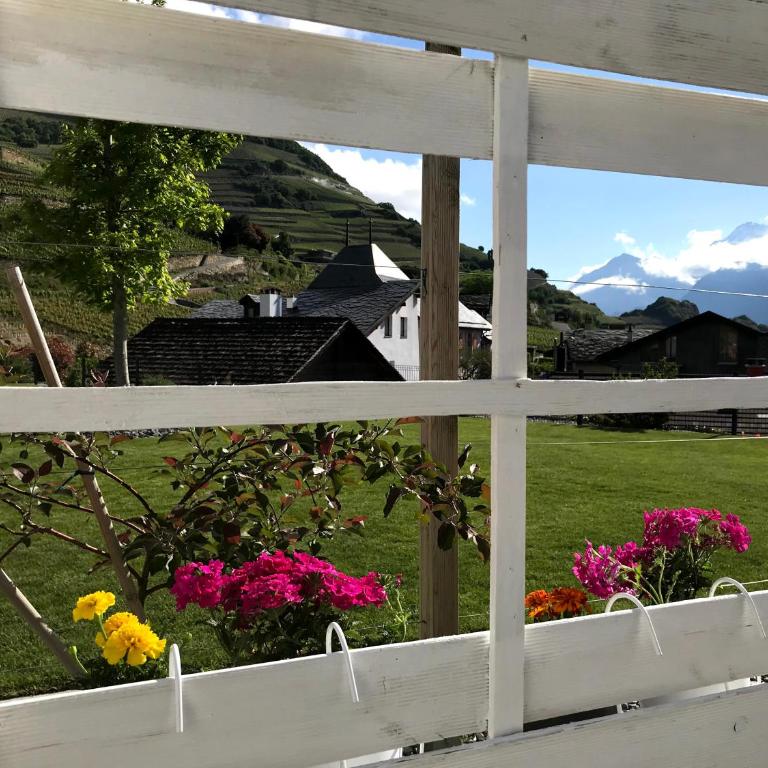 Guesthouse Petit Pré - Studio mit Terrasse und Bergblick - 24
