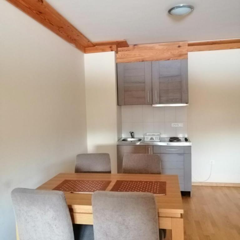 Apartman 205- Aparthotel Vučko Jahorina private host 50m2 - Apartment with Mountain View - 9