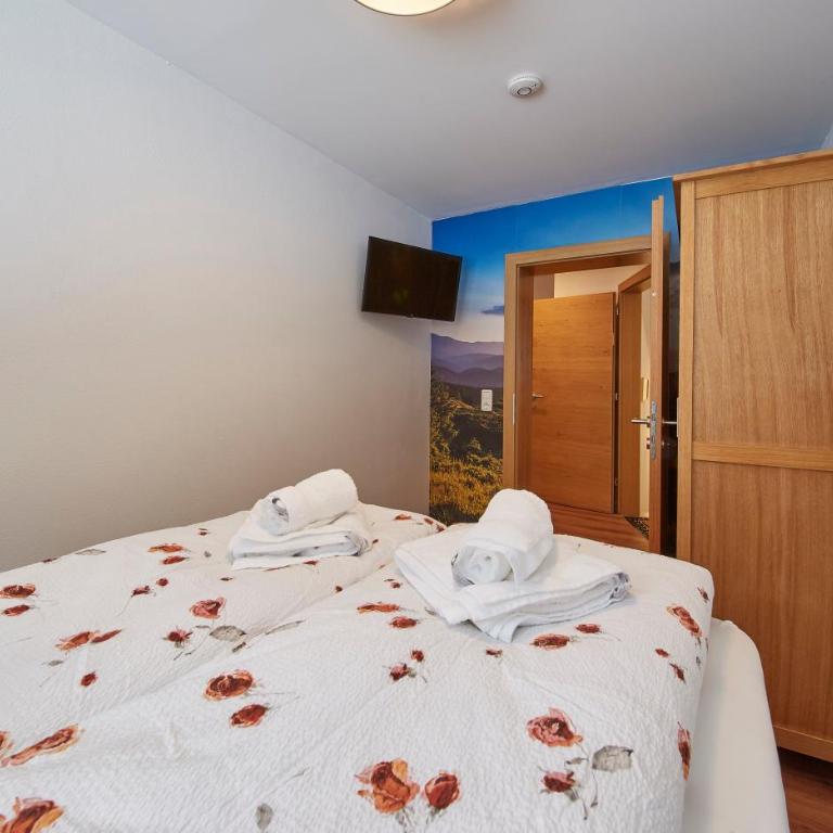 Saalbacher Perle 1 - Cozy Family Home - Four-Bedroom Deluxe Apartment - 49