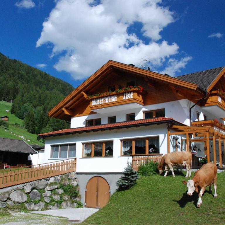 Jausenstation Saege - One-Bedroom Apartment with Balcony - 1