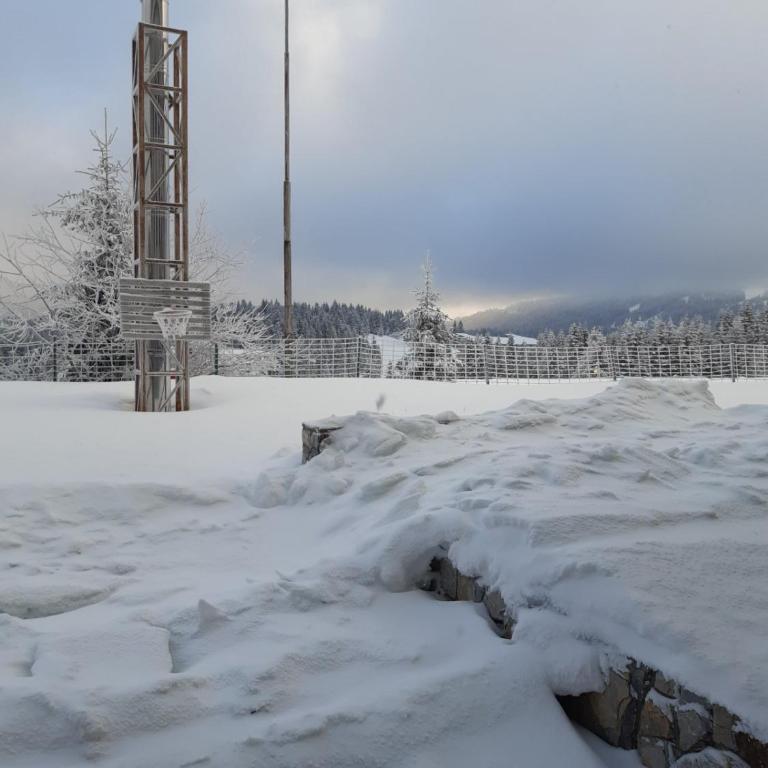 Apartman No1,Župa Wellness & Spa Kopaonik - One-Bedroom Apartment - 4