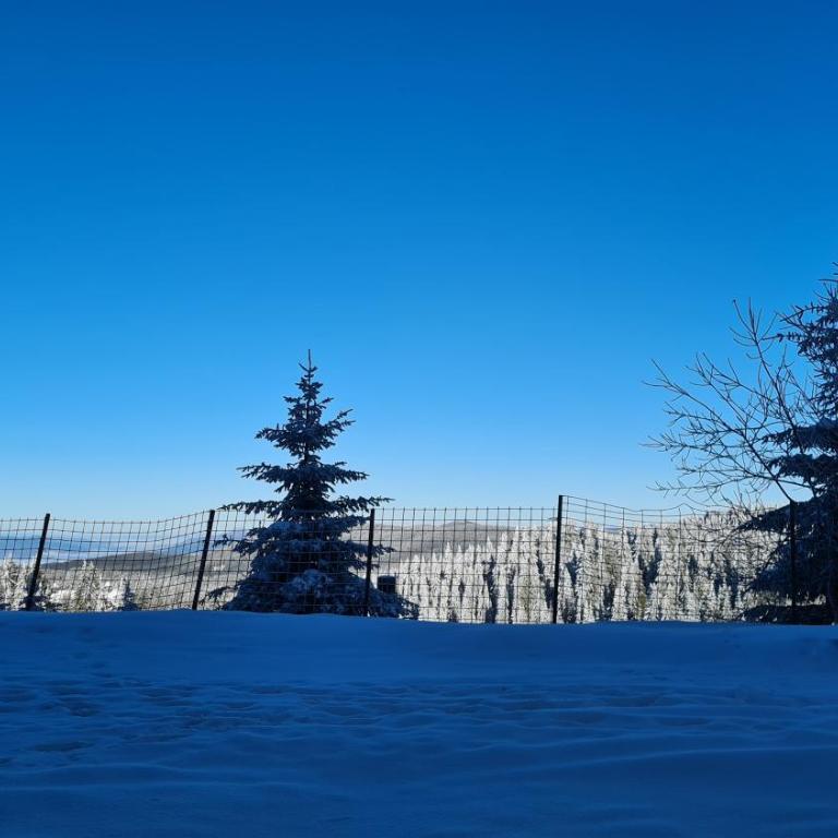 Apartman No1,Župa Wellness & Spa Kopaonik - One-Bedroom Apartment - 3