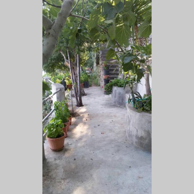 Villa Mareblu - Appartamento con 1 Camera da Letto - 23
