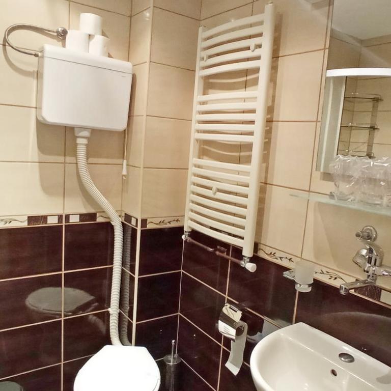 Konačište Zlatibor - One-Bedroom Apartment - 2