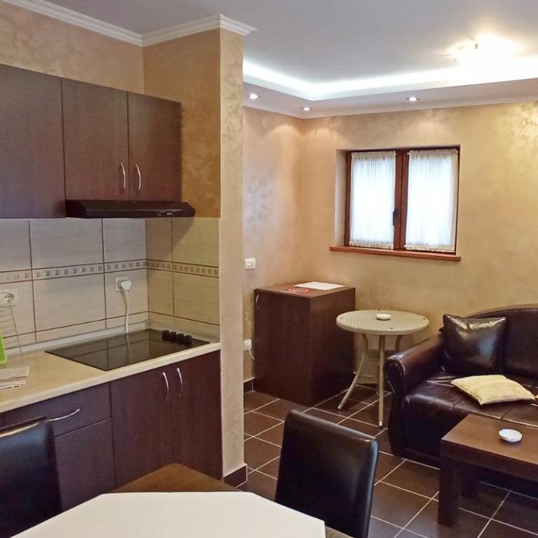 Konačište Zlatibor - One-Bedroom Apartment - 7