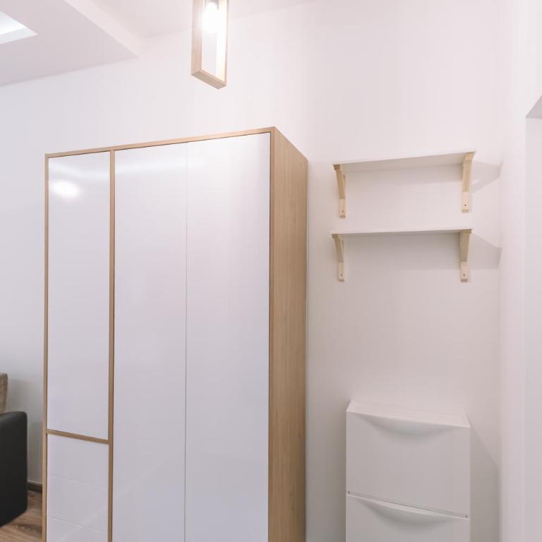 VS Studio Apartmani Banja Koviljača - Deluks Studio sa Bračnim Krevetom (King-size) - 12