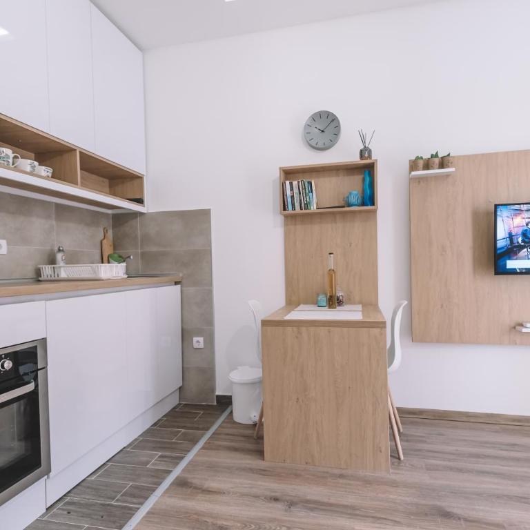 VS Studio Apartmani Banja Koviljača - Deluks Studio sa Bračnim Krevetom (King-size) - 9