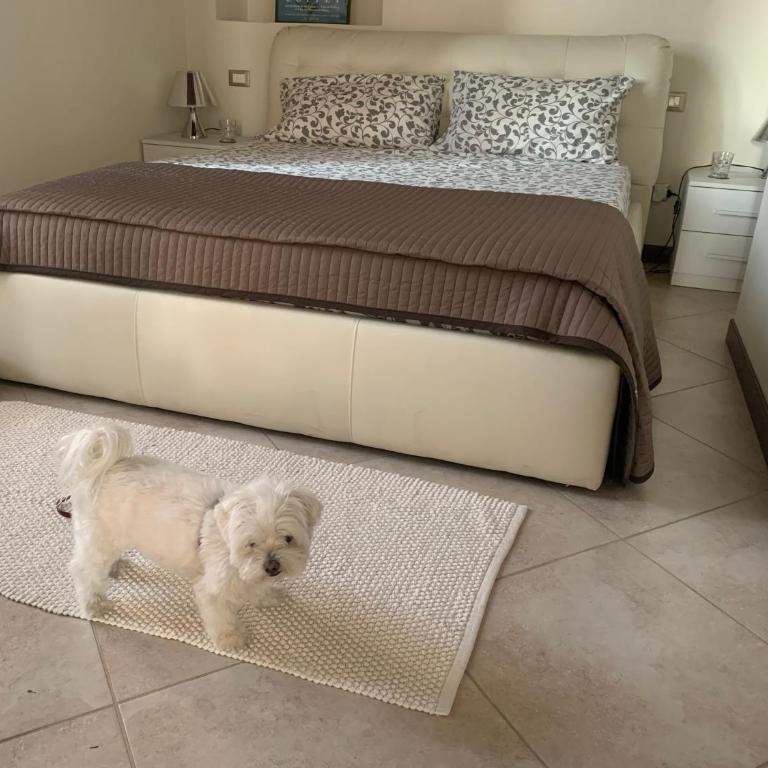 Arona Prestige Apartments - Appartamento Superior - 1