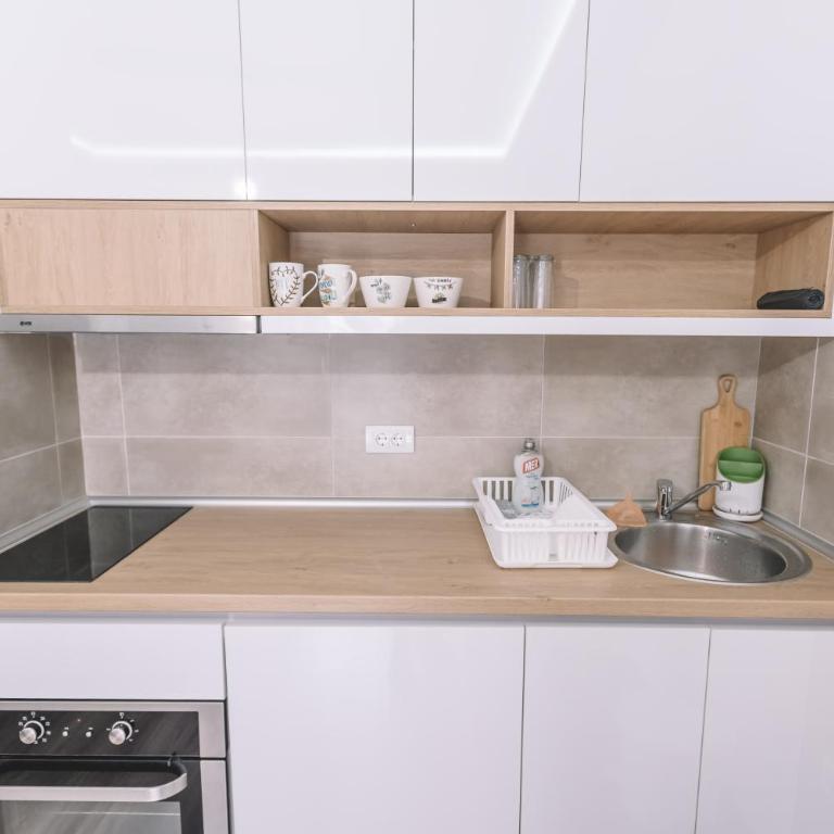 VS Studio Apartmani Banja Koviljača - Deluks Studio sa Bračnim Krevetom (King-size) - 6