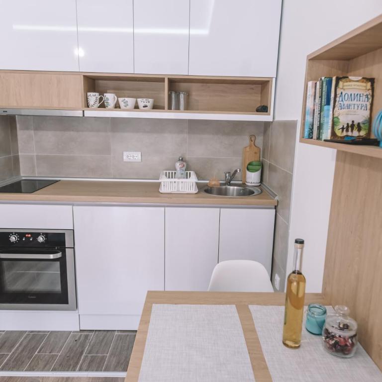 VS Studio Apartmani Banja Koviljača - Deluks Studio sa Bračnim Krevetom (King-size) - 7